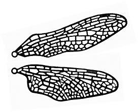 272x222 Kansa Stainedglass Catalogue - Dragonfly Wings Drawing