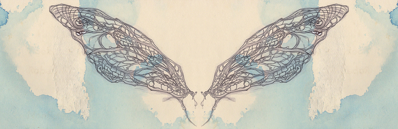 800x260 Unfinished Dragonfly Wings - Dragonfly Wings Drawing