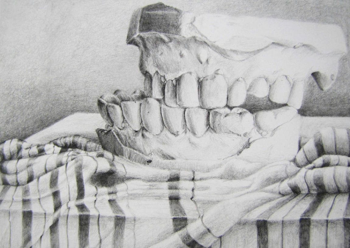 1150x815 Coyote Spark Multimedia Art Design - Drawing 101