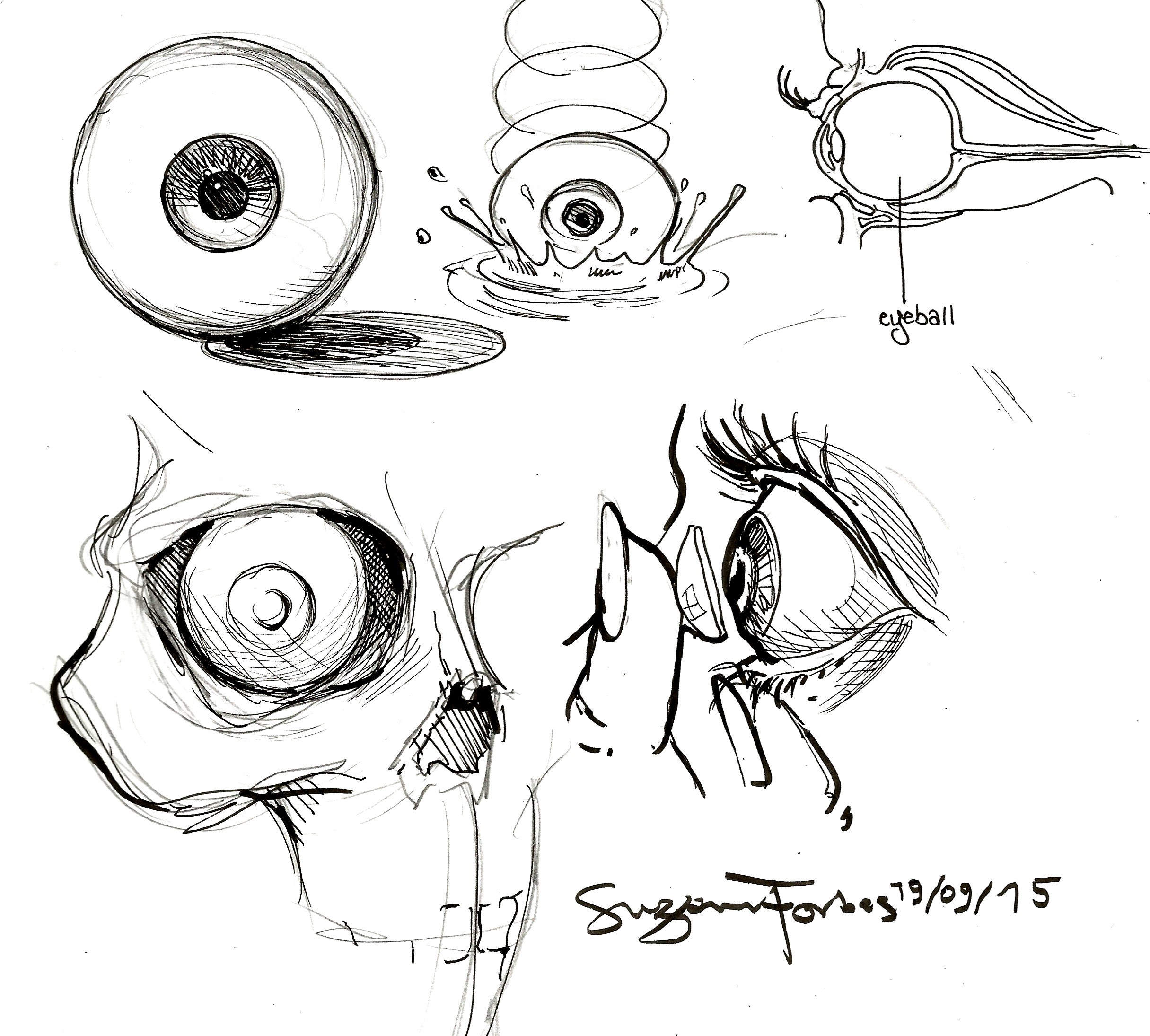 2431x2190 Drawing Tutorial How To Draw A Perfect Eye - Drawing 2015