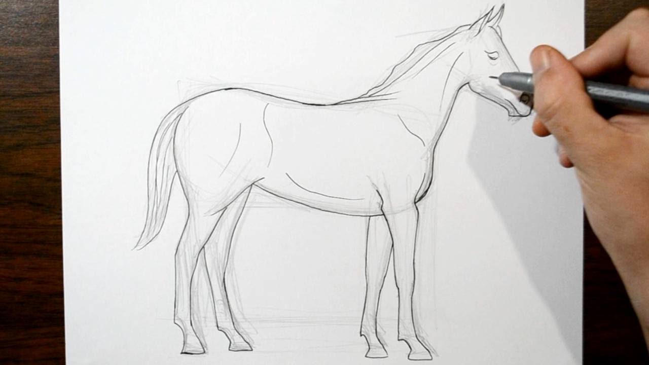 1280x720 How To Draw A Horse - Drawing 2016