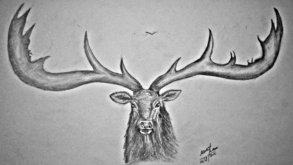 1024x576 The World's Most Recently Posted Photos Of Drawing - Drawing 2016