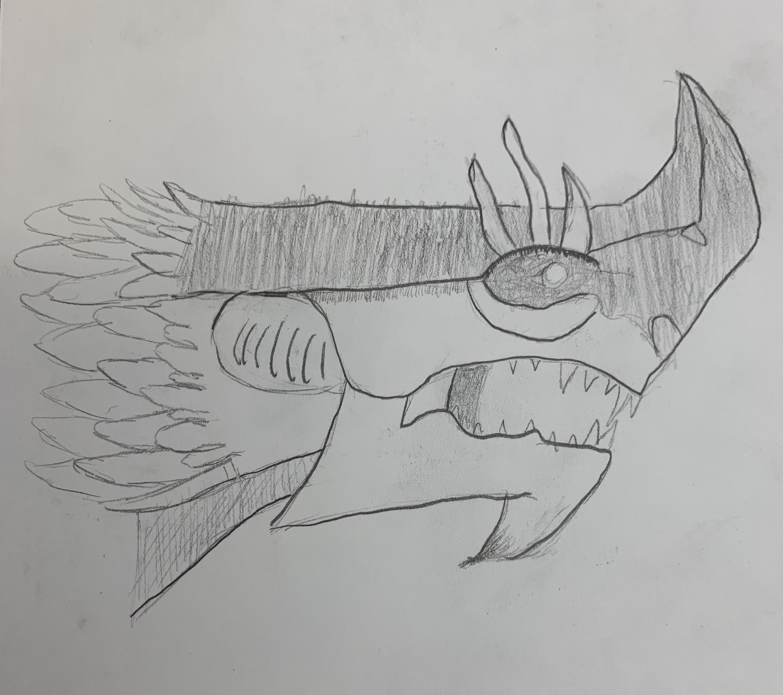 3024x2685 Beginner Artist Here! Trying My Hand - Drawing