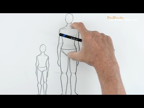 480x360 How To Draw A Diagram Of The Human Body - Drawing A Diagram