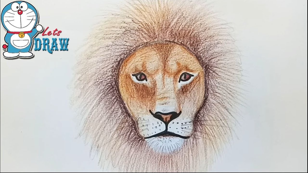 1280x720 How To Draw Lion Face Step - Drawing A Lion Face Step By Step