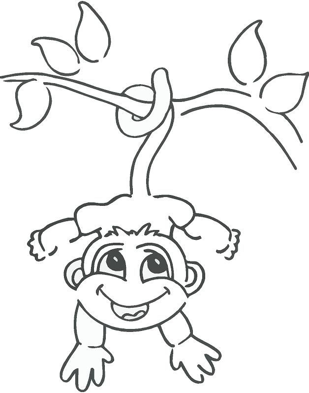 628x798 monkeys drawings hanging monkey drawing monkey hanging from tree - Drawing A Monkey