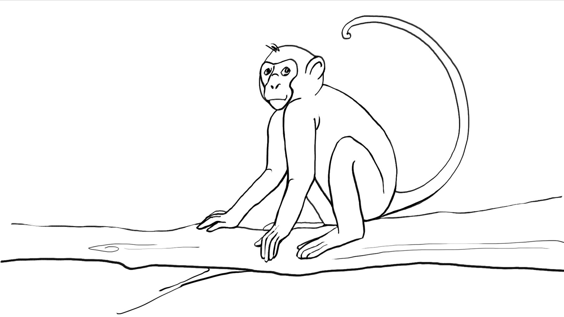 1819x1024 Drawing Of Monkey - Drawing A Monkey