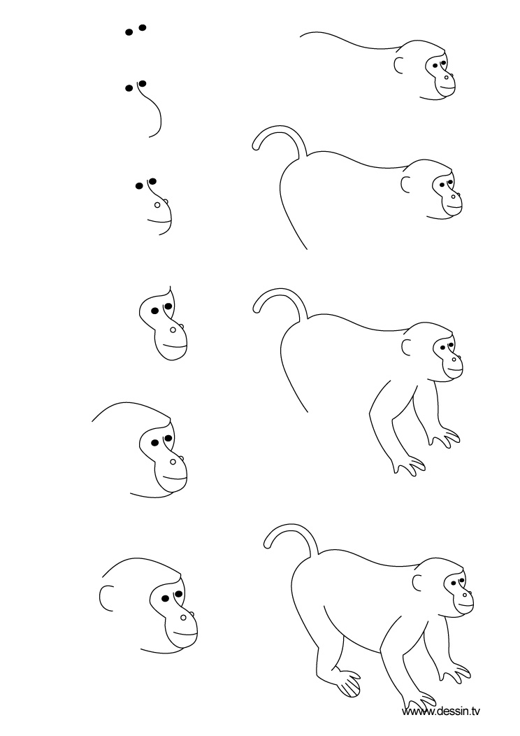 744x1052 Drawing Monkey - Drawing A Monkey