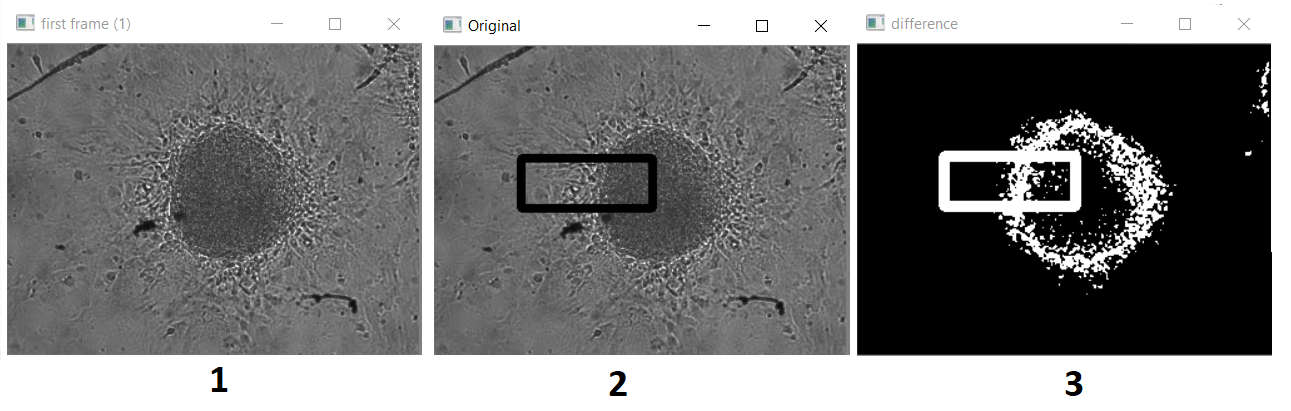 1291x411 Drawing A Rectangle And Masking The Outside Area - Drawing A Rectangle