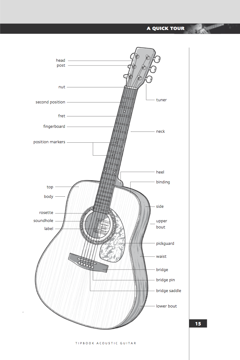 776x1166 form drawing acoustic guitar for free download - Drawing Acoustic Guitar