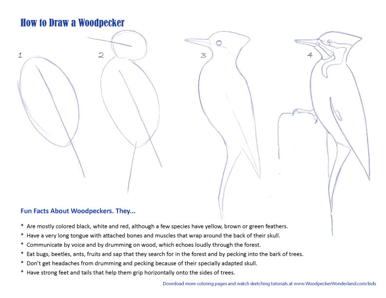 792x612 For Kids - Drawing Activities