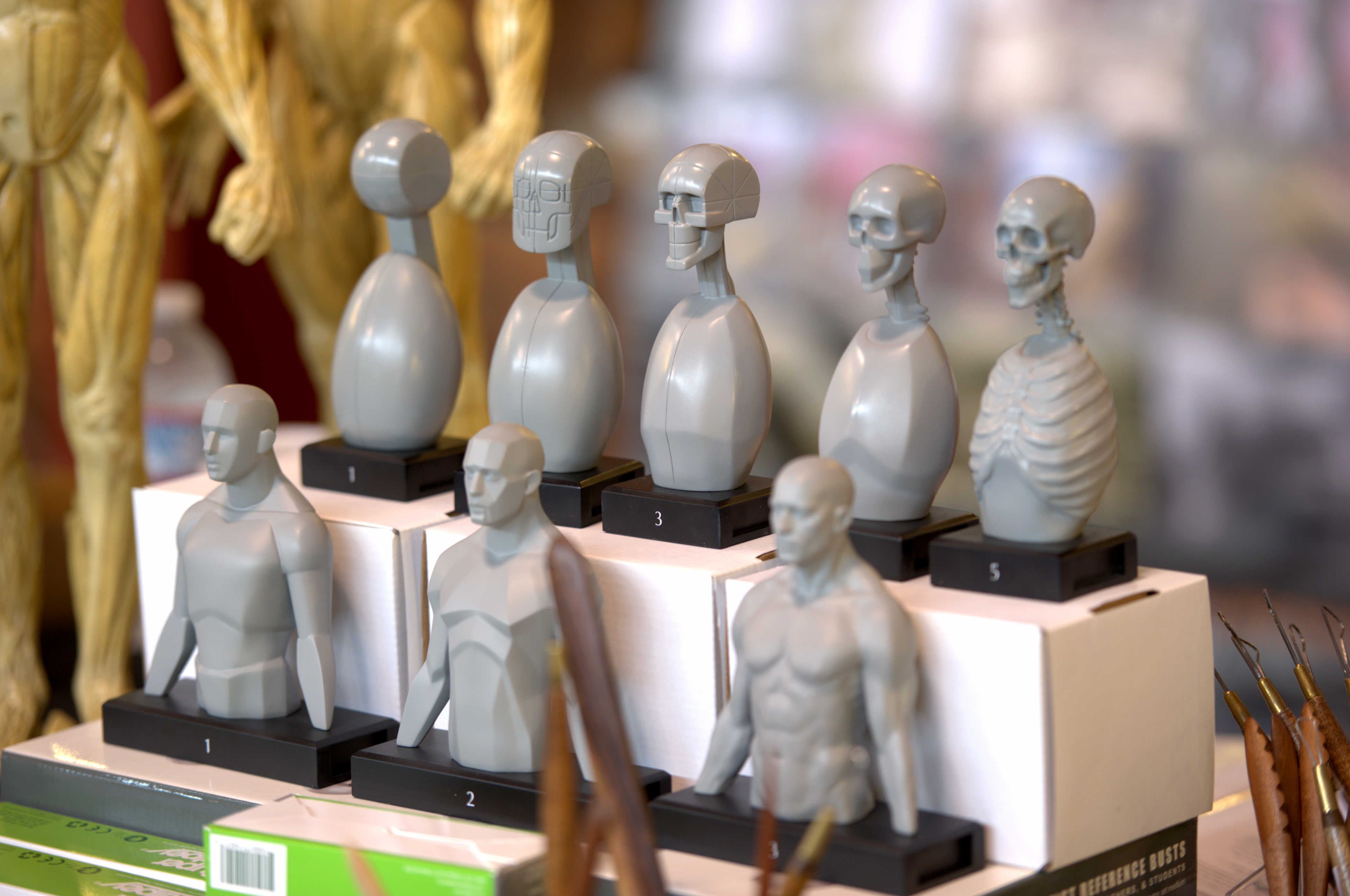 4196x2786 Fileanatomy Model Drawing Aids - Drawing Aids