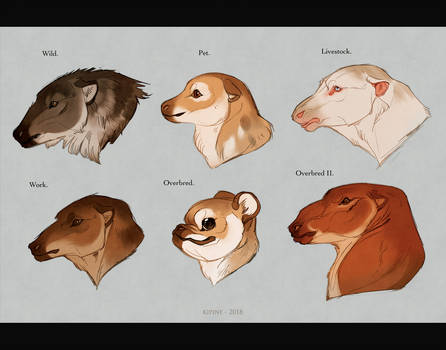 446x350 Drawing Aids Favourites - Drawing Aids