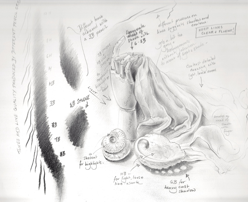 800x651 still life drawing anita chowdry - Drawing Analysis