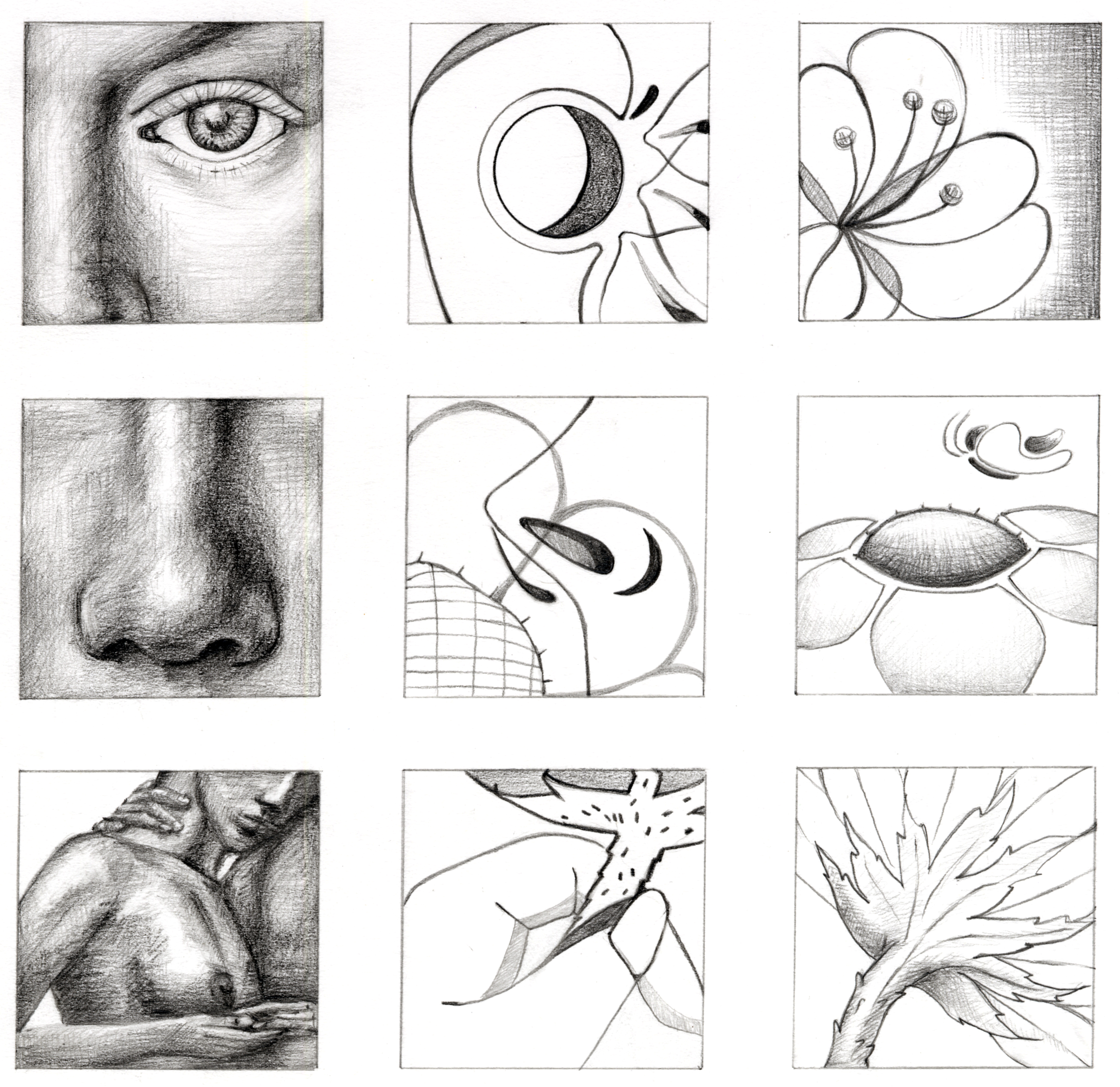 2812x2729 Basic Design Studio - Drawing And Design