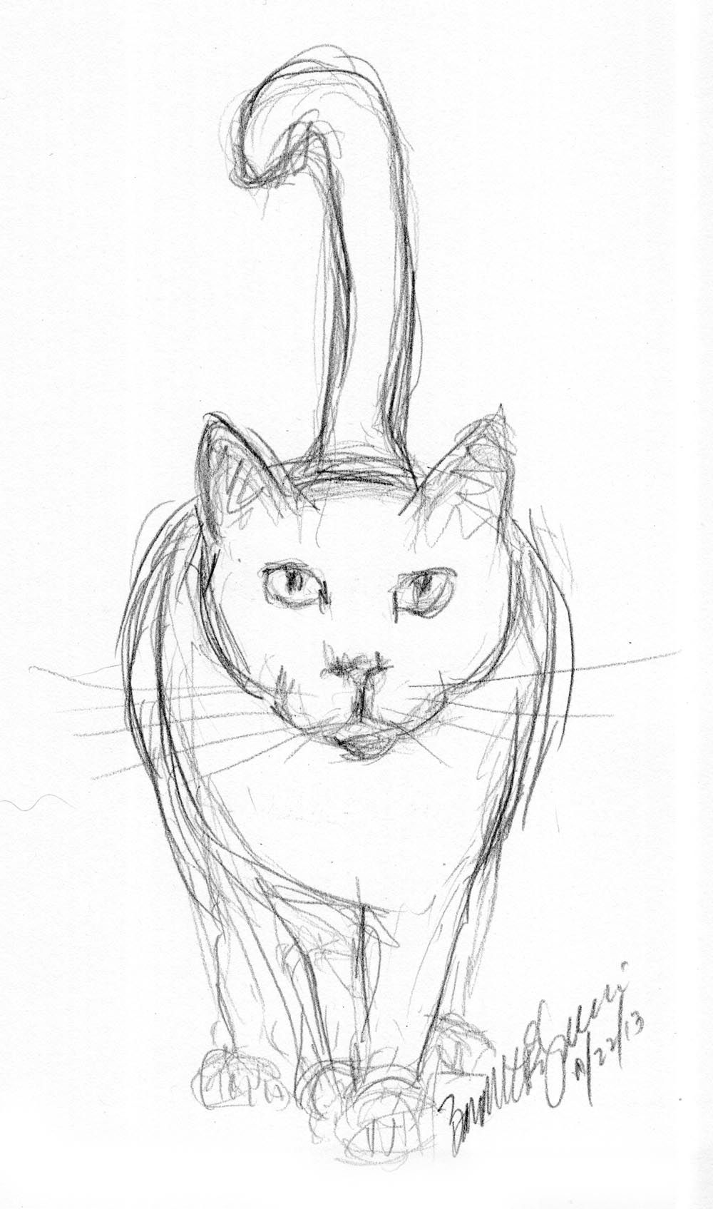 1000x1695 Pencil Sketch Of Cat Daily Cat Sketches In Drawings - Drawing And Sketching