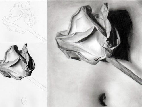 500x378 Clever Tutorials And Techniques On Traditional Drawing - Drawing And Sketching