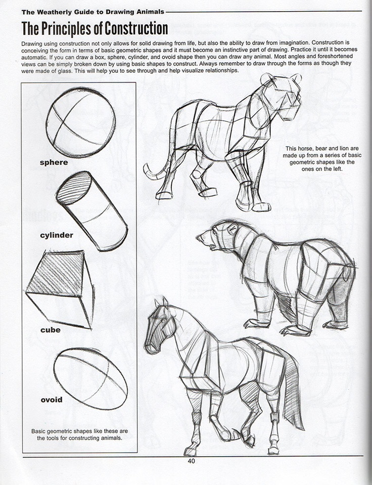 312-39 Test Prep