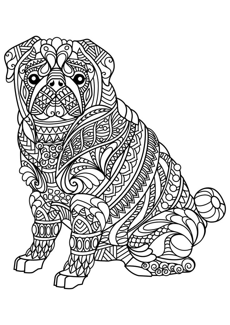736x1040 Huge Collection Of 'animal Drawing Pdf' Download More Than - Drawing Animals Pdf