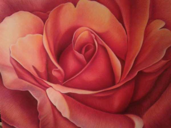 600x450 drawing flowers, how to draw flowers, lee hammond artist, art - Drawing Art Flowers