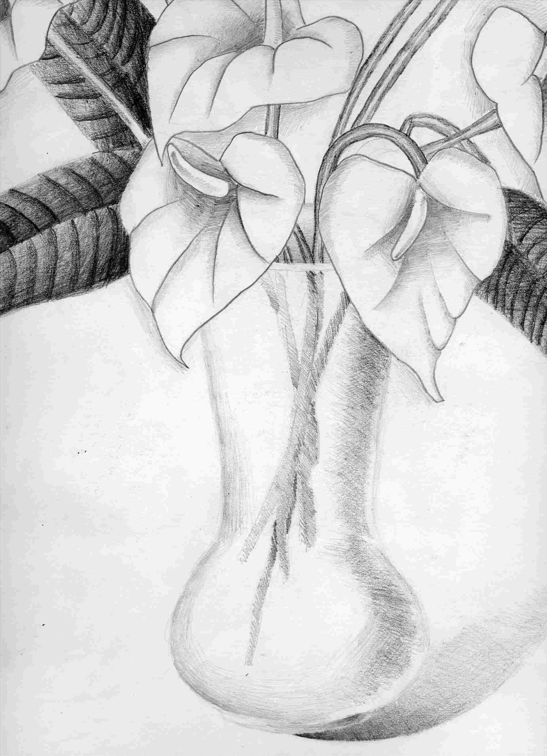 1900x2626 Image Pencil Art Flower Pictures For Flower In Pencil Drawing - Drawing Art Flowers