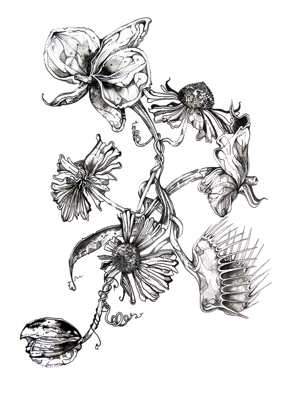 600x810 Beautiful Flower Drawings Art And Design - Drawing Art Flowers