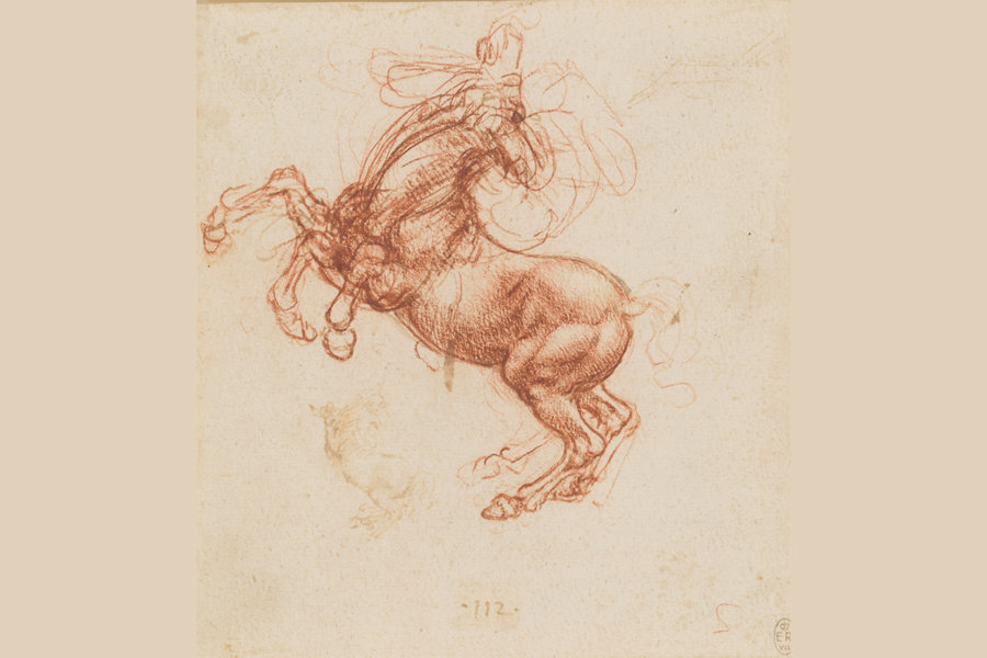 900x600 Leonardo Da Vinci A Life In Drawing - Drawing Art Gallery