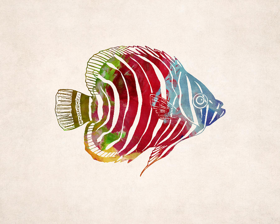 900x720 Tropical Fish Drawing Digital Art - Drawing Art Prints