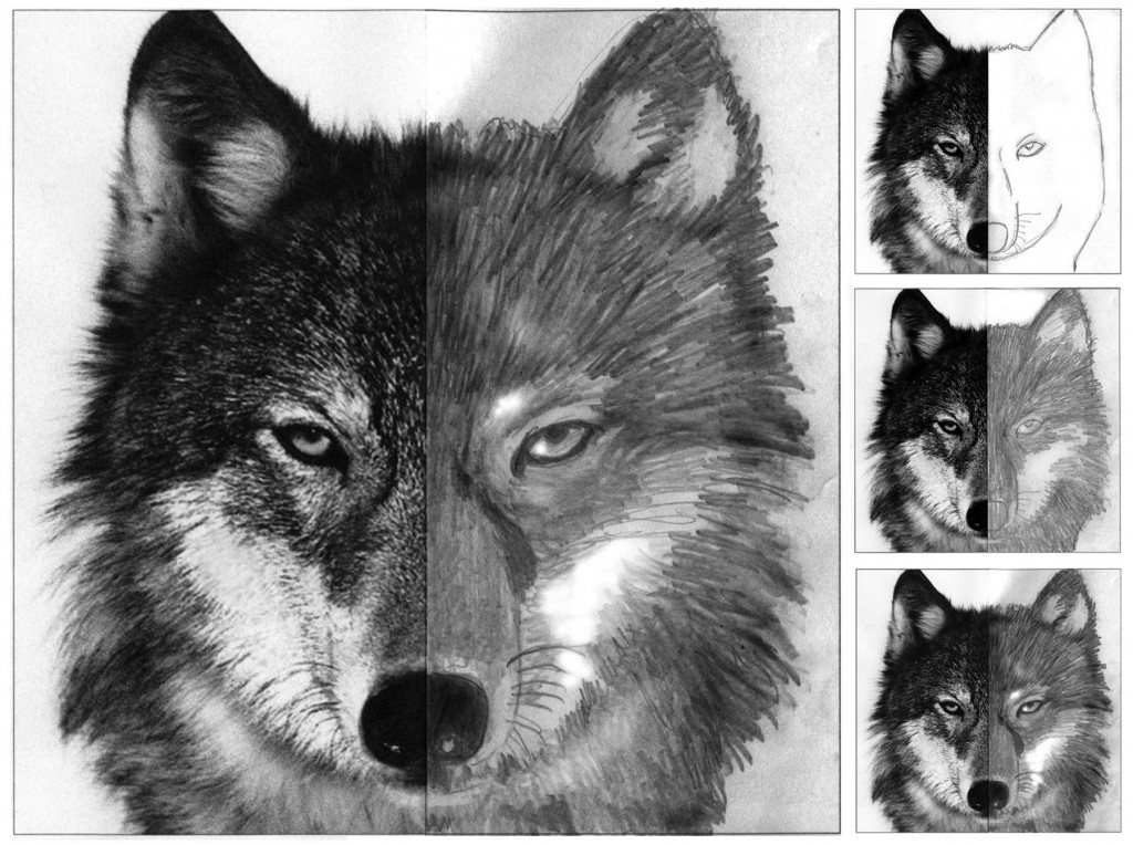 1024x764 Wolf Face Drawing Art Projects For Kids - Drawing Art Projects