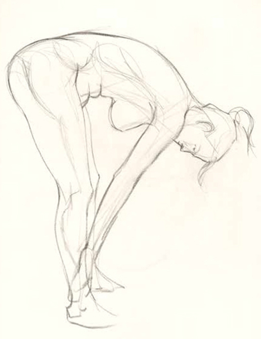 516x670 Free Art Tutorials Painting Drawing Lessons - Drawing Artist Drawings