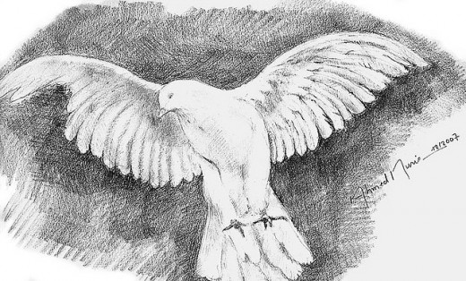 520x314 Astonishing Pencil Drawing Artwork - Drawing Artist Drawings