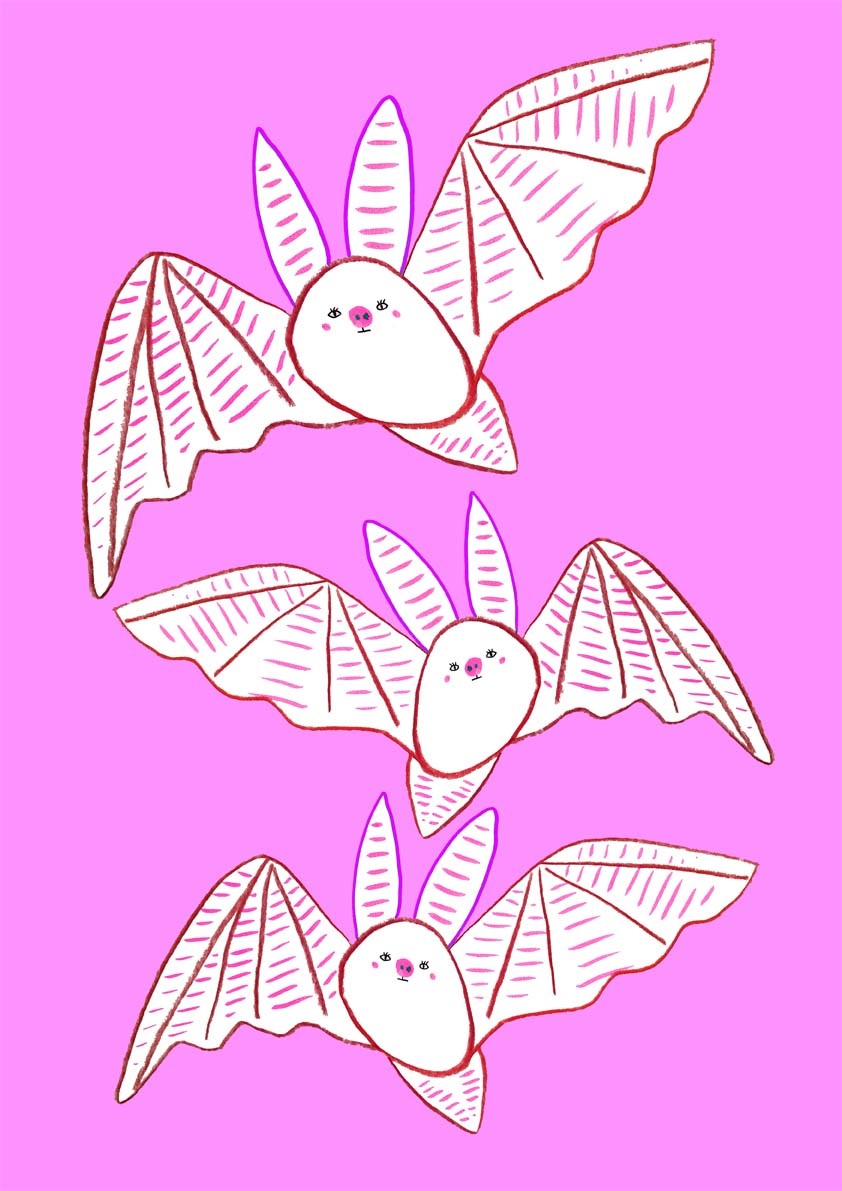 842x1191 bats art, bat illustration, bat design, illustrator for children - Drawing Artist For Hire