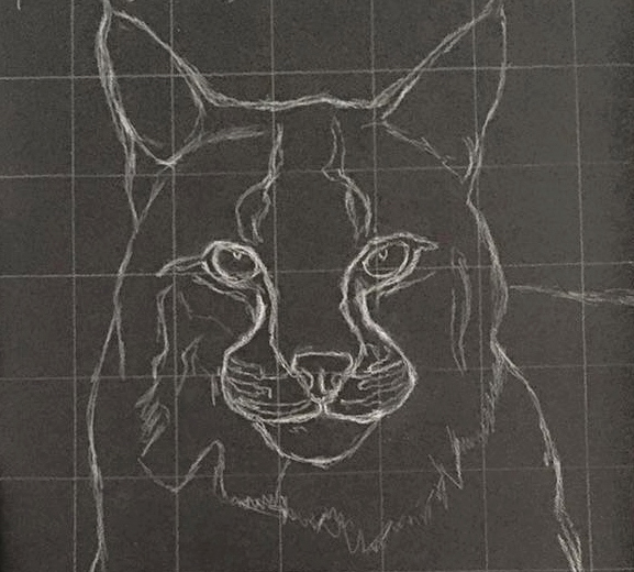 577x520 Charcoal Drawing Using The Grid Method - Drawing Artist Near Me