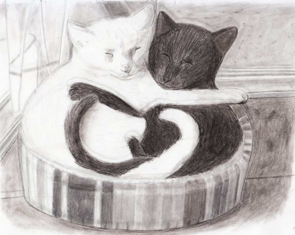 1001x798 Drawing Assignments - Drawing Assignments