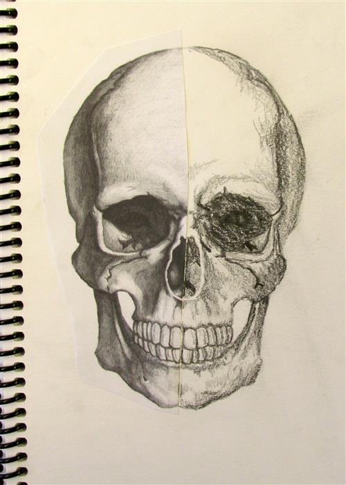 500x701 Lelli, Ilona - Drawing Assignments