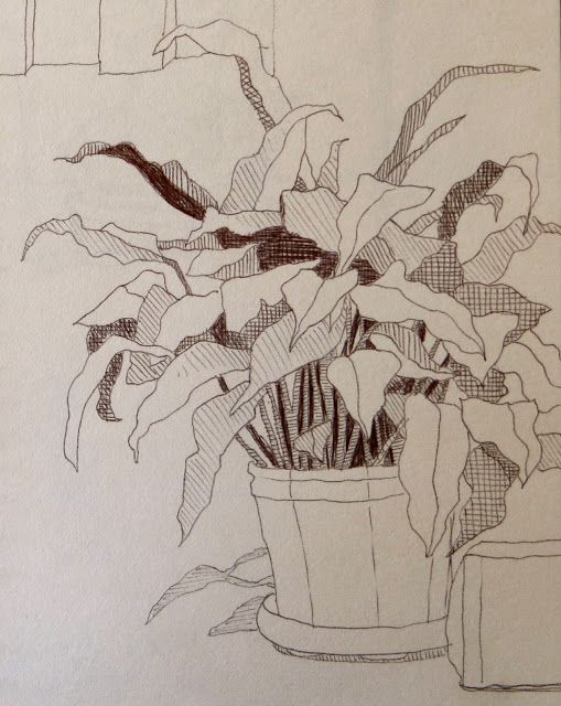 509x640 the painted prism sketchbook assignment trees leaves - Drawing Assignments