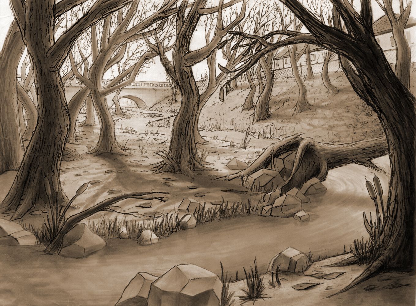 1359x1000 Drawing Backgrounds - Drawing Backgrounds