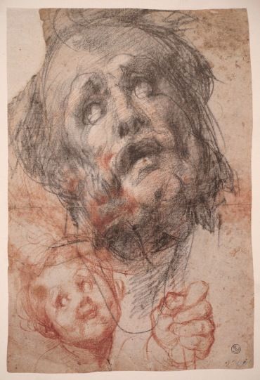 370x541 Head Studies Ideas For Process Drawings Drawings - Drawing Before Painting