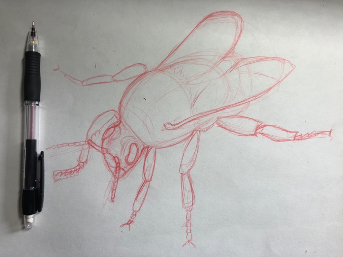 697x523 Watercolor Paper - Drawing Before Painting