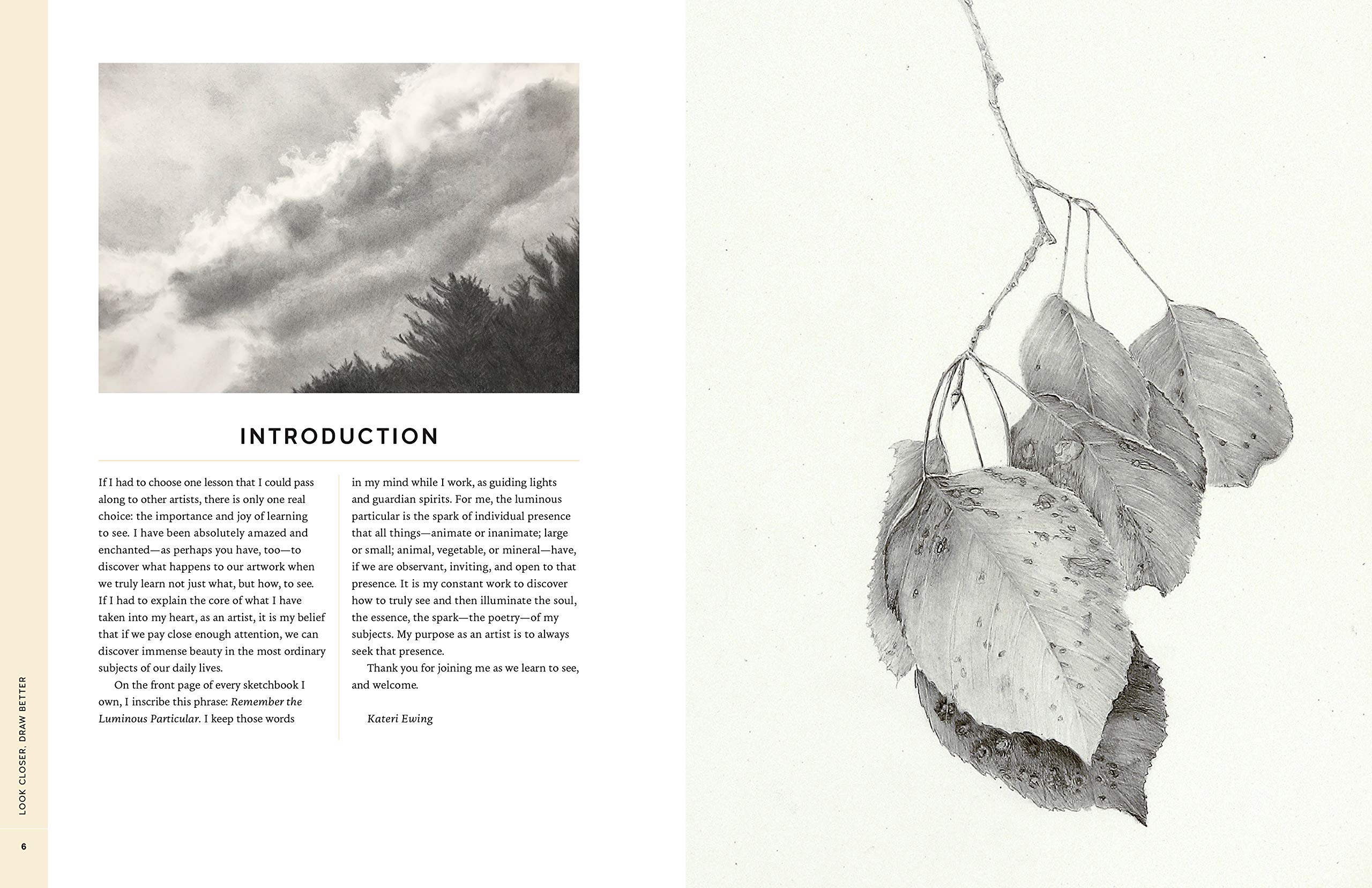 2560x1656 look closer, draw better expert techniques - Drawing Better