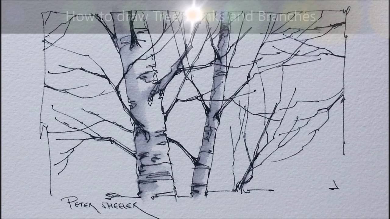 1280x720 tips and techniques for drawing better tree trunks and branches - Drawing Better