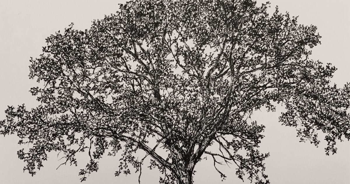 1200x630 Drawing And Painting Blog - Drawing Blog