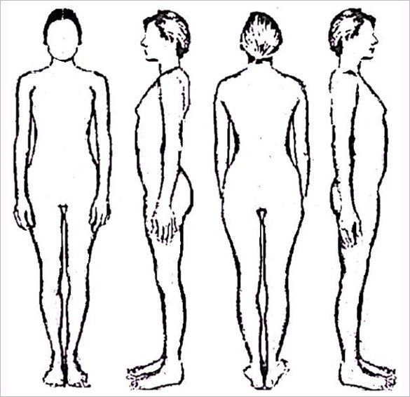 585x566 Body Outline Templates - Drawing Body Outline