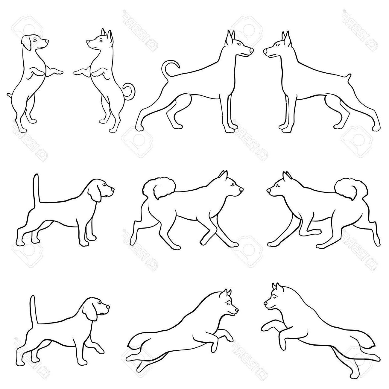 1300x1300 Best Body Outline Of A Dog Vector Drawing Free Vector Art - Drawing Body Outline