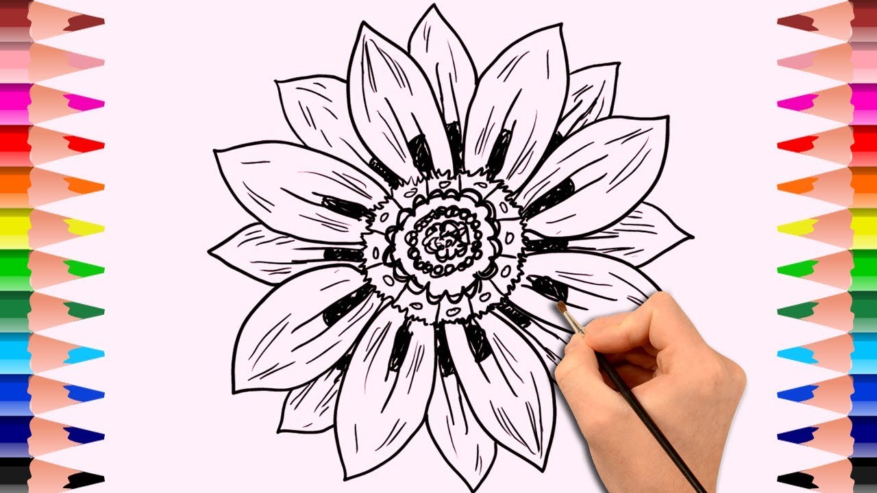 1280x720 Learn How To Draw Flowers Drawing Book For Kids Childrens - Drawing Book