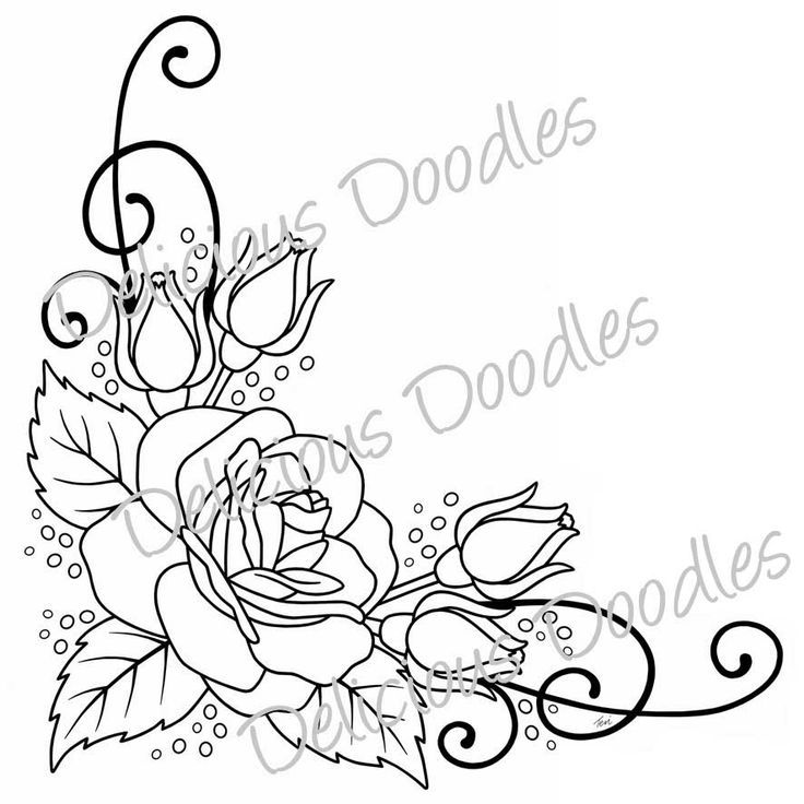 736x736 Rose Border Drawing - Drawing Border