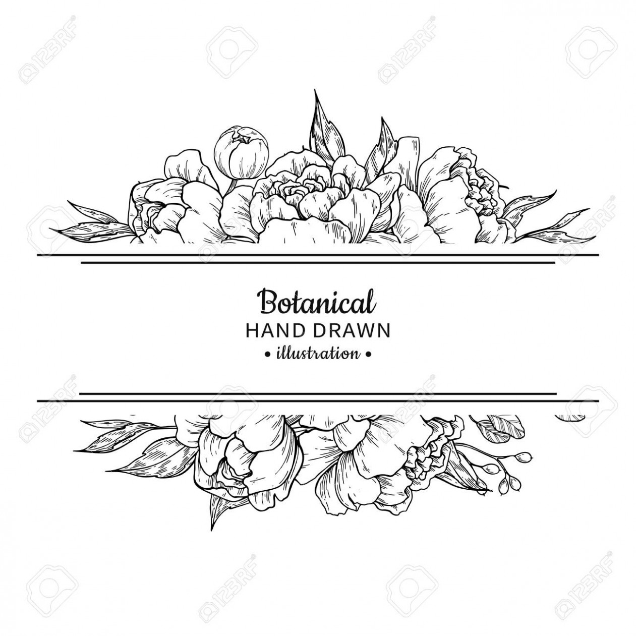 1261x1261 Vector Vintage Black White Flowers Drawing Horizontal Border - Drawing Border