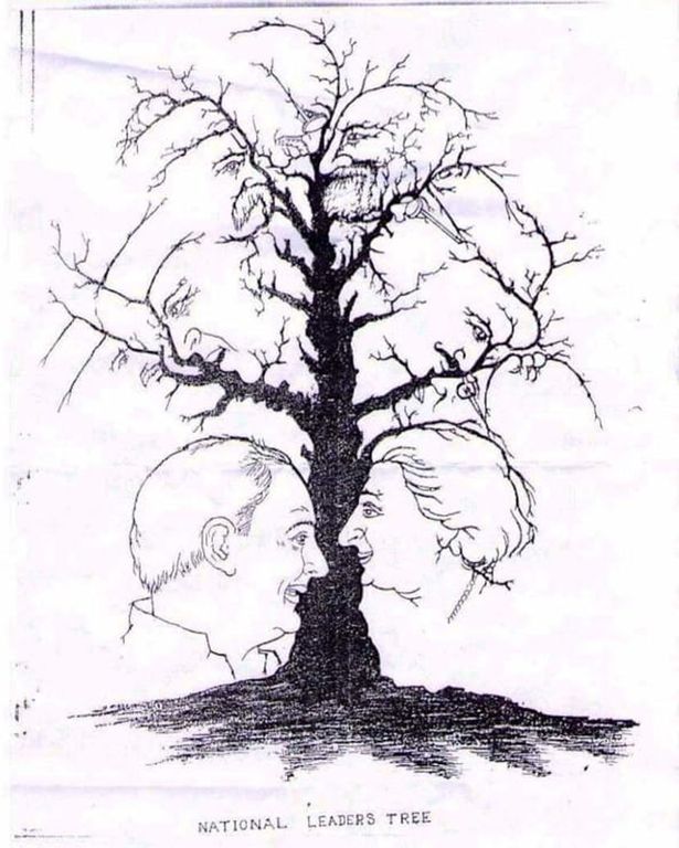 615x768 how many faces can you see in this tree counting conundrum goes - Drawing Brain Teasers With Answers