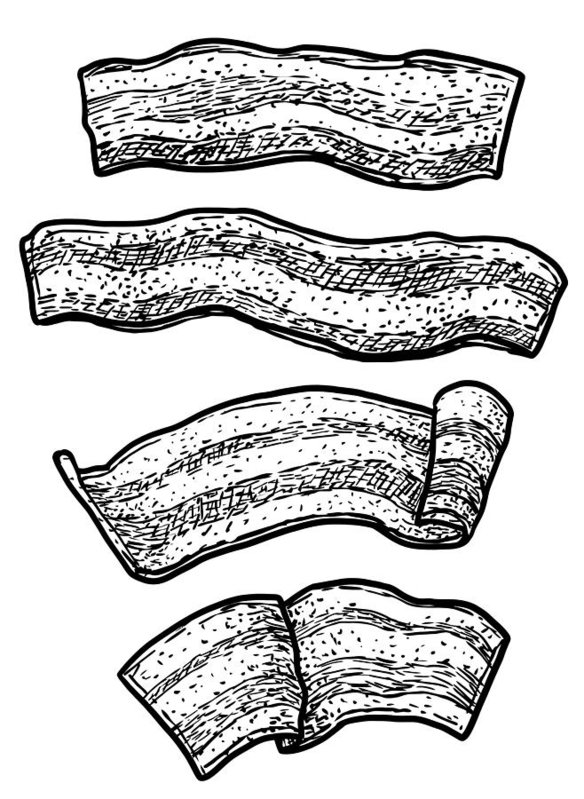 584x799 bacon illustration, drawing, engraving, ink, line art, vector art - Drawing Breakfast