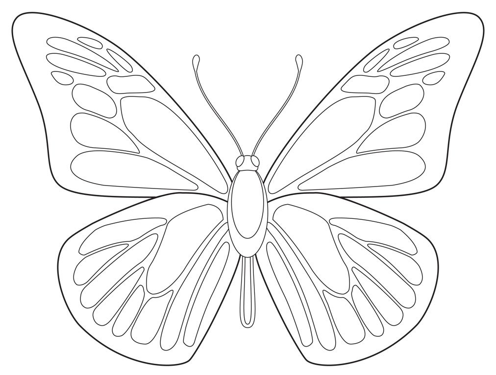 1012x766 Free Butterfly Printable Butterfly Butterfly Coloring - Drawing Butter